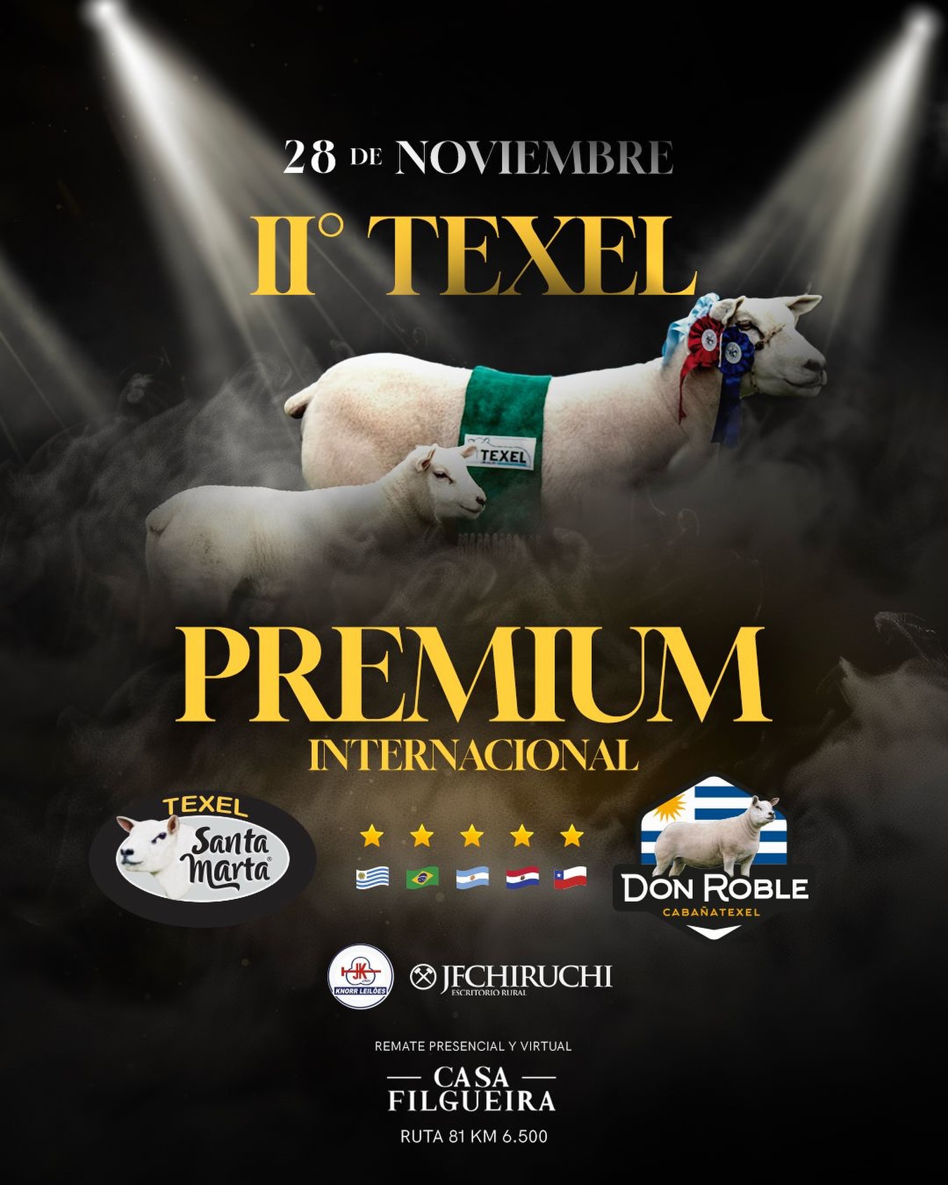 2° Texel Premium Internacional